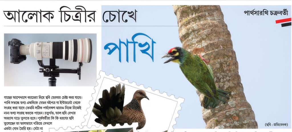 আলোকচিত্রীর চোখে পাখি