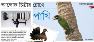 আলোকচিত্রীর চোখে পাখি