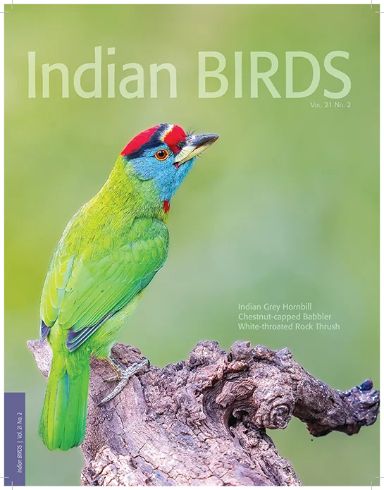 Indian Birds Vol 21 No. 2